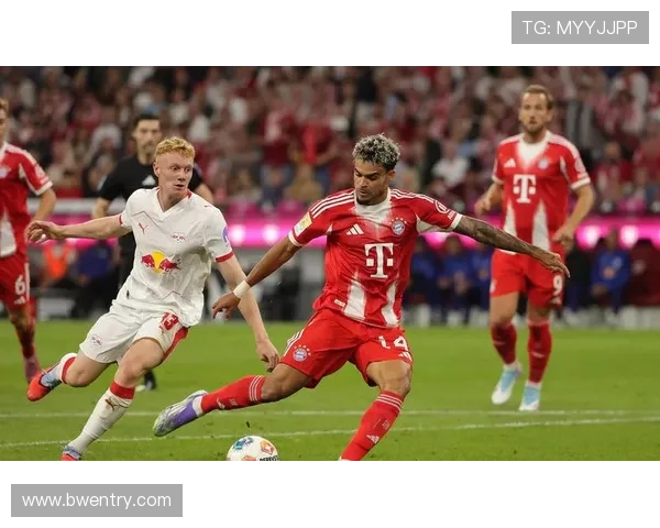 德甲主场最具威慑力的球队及其主场优势分析